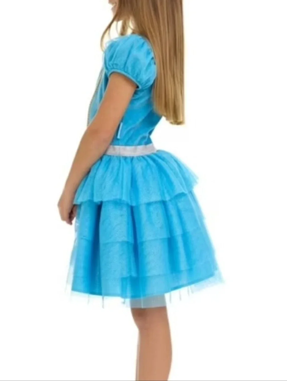 Disney Cinderella Princess Tutu Velour top Tulle Skirt Dress Blue 8